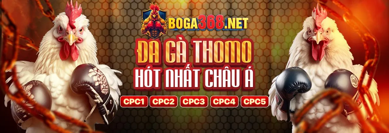 Liên hệ hi88vip6 casino để được hỗ trợ chuyên nghiệp