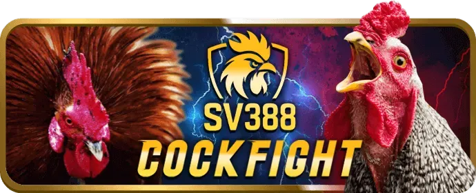 Ví Điện Tử hi88vip6 casino